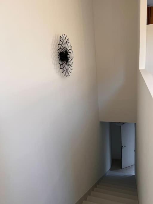 Centre - Appartement